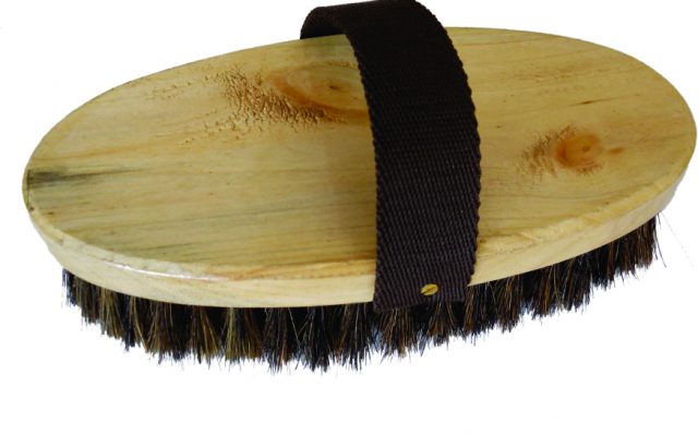 Bristle brush with handrail