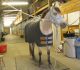 Hoof Care: How The Weather Affects Equine Feet